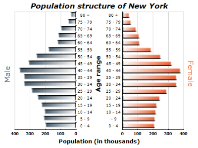 Dual Horizontal Bars Chart