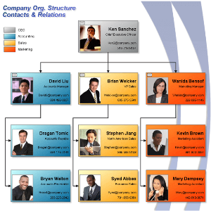 Tip over tree company structure