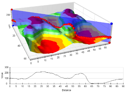 Grid Surface Vertical Cross Section