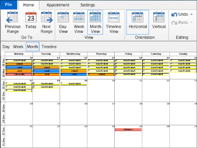 NOV schedule monthly view 3