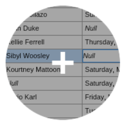 Grid Null Values small