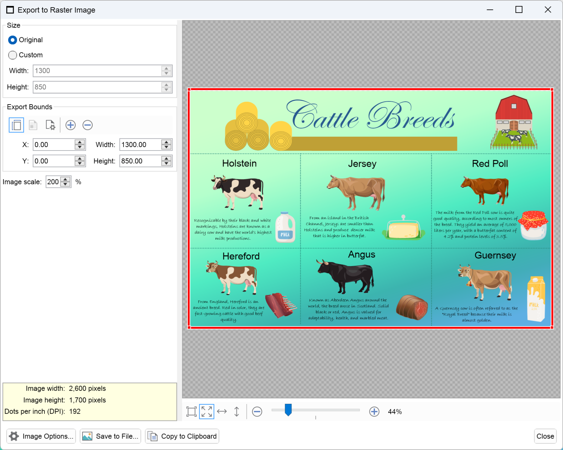 image export preview