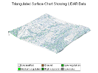 triangulated surface chart showing lidar data
