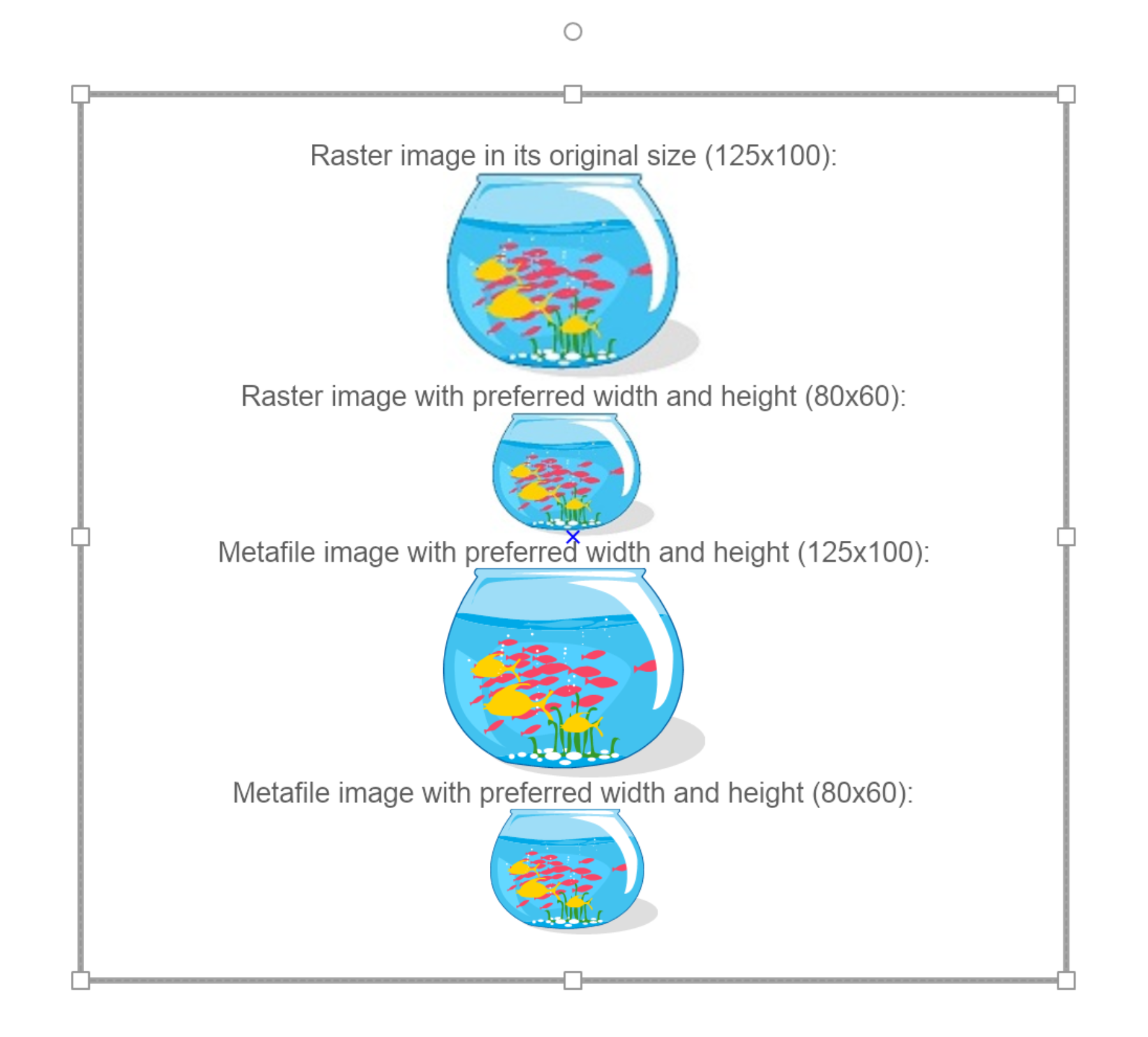 embedded images