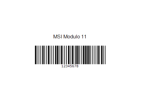 MSI modulo 11