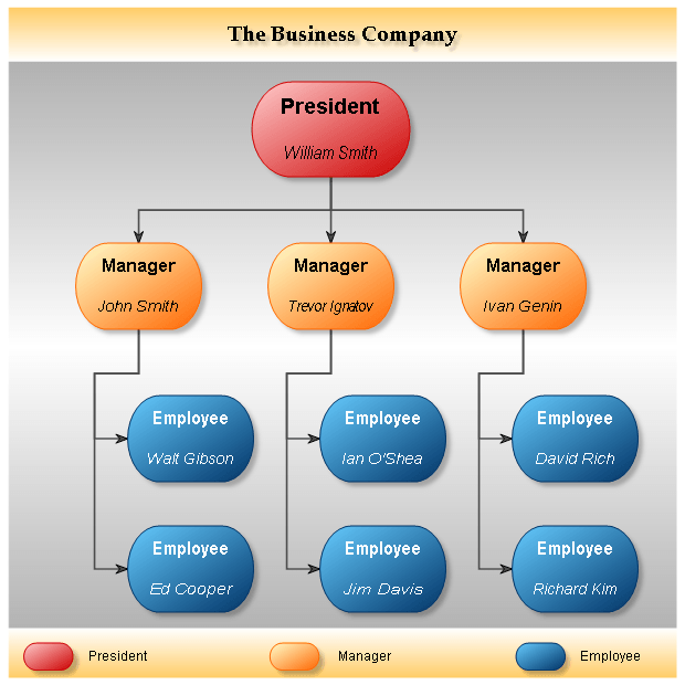 Business organization