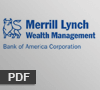 Merril lynch wealth management