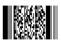 Pdf 417 barcode