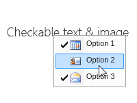Checkable context image and text menu