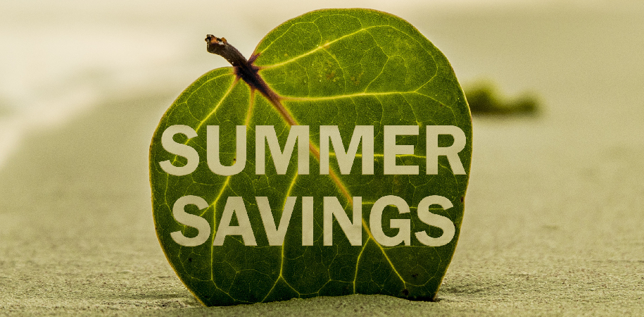 Nevron Summer Savings