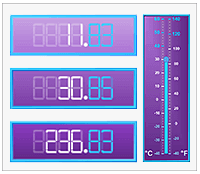dot net numeric display